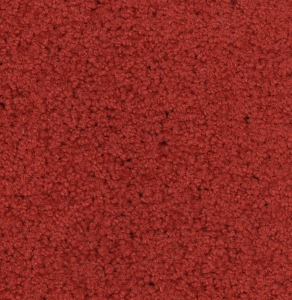 schoonloopmat aktie Gent effe rood