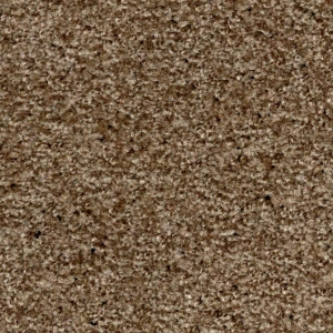schoon/droogloopmat exclusief beige