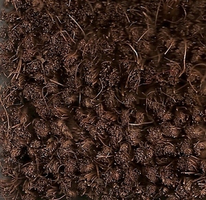 kokosmat choco