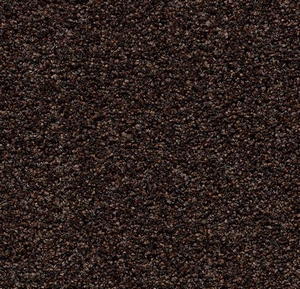 Coral Bright 2606 fine peat