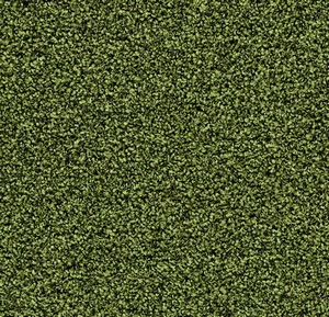 Coral Bright 2608 fresh grass