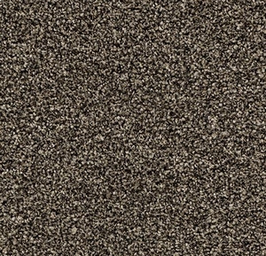 Coral Bright 2604 virgin sand