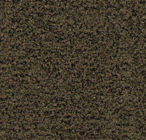 Coral brush 5284 olive green