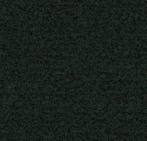 Coral brush 5288 racing green