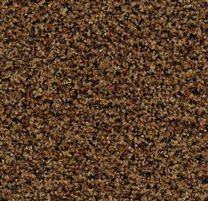 Coral brush 5716 masala brown