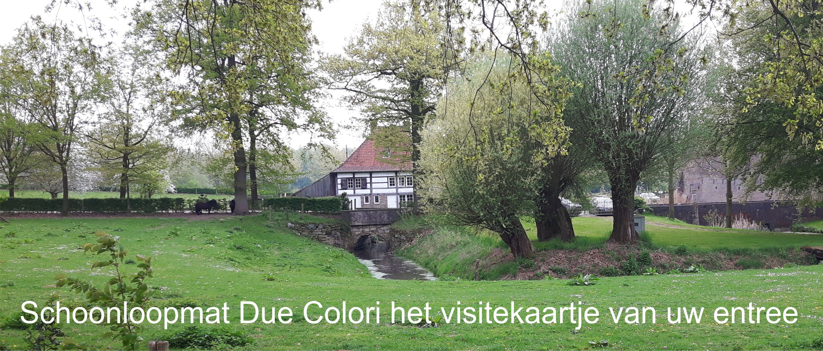 schoonloopmat Due Colori