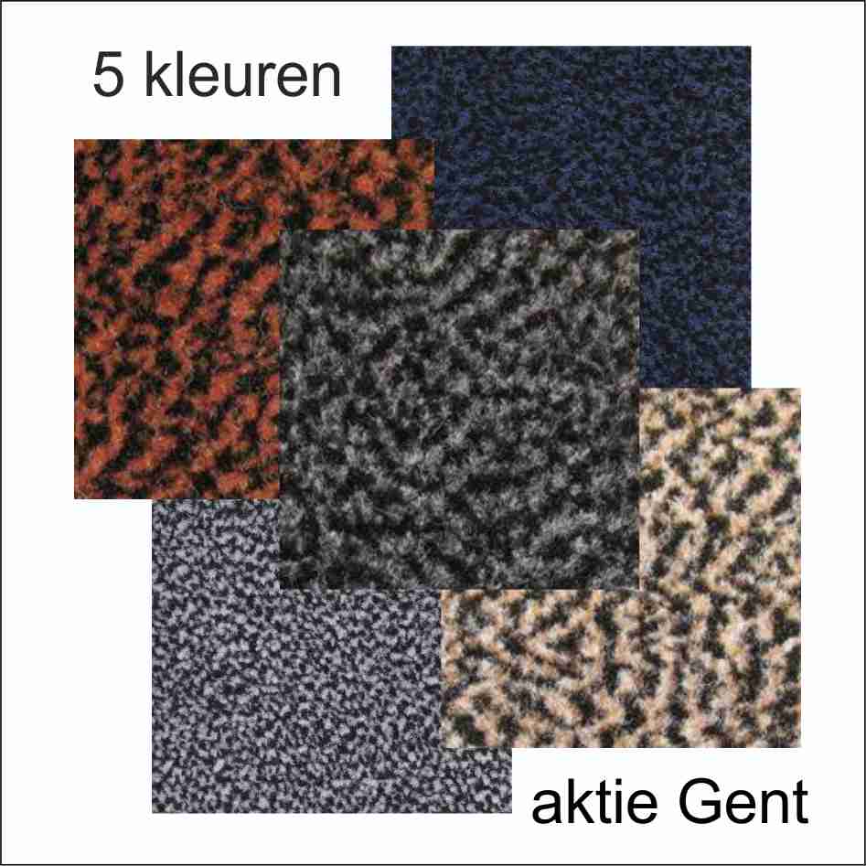 schoonloopmat aktie Gent