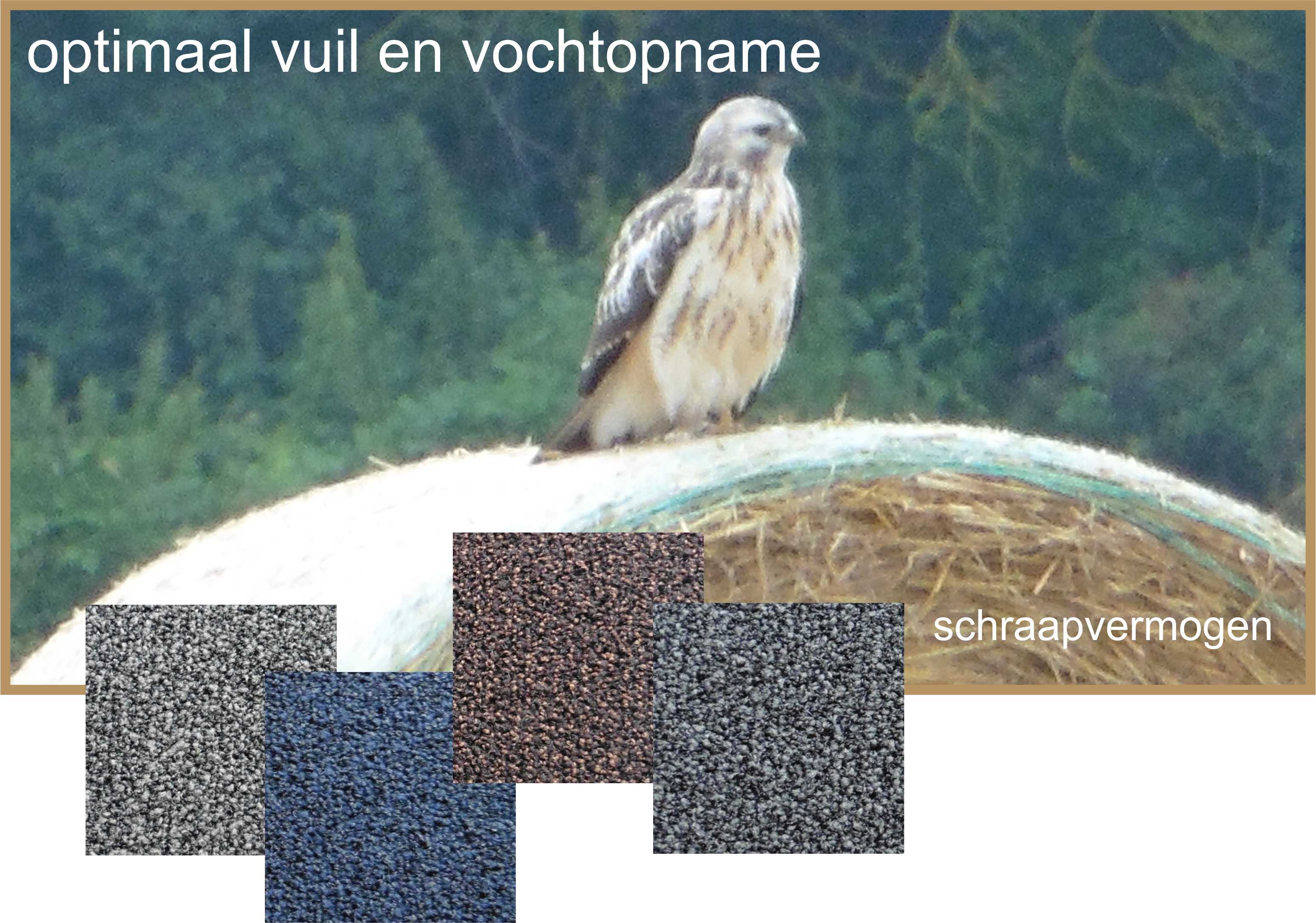 schoonloopmat leeds de schoonloopmat uit eige label.