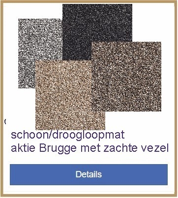 schoon/droogloopmat aktie Brugge