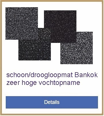 schoon/droogloopmat Bankok